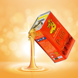 Keo Rồng Vàng P-66 - 3.3l