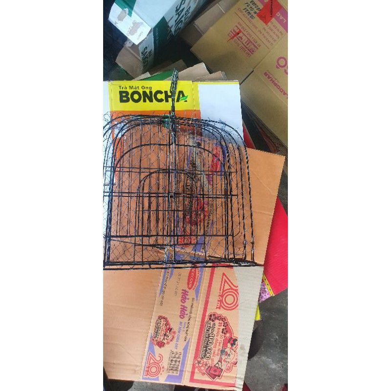 Mẹt Treo Bìm Bịp, Quốc Chuyên Đánh Mồi Nhái, Mồi Chuột