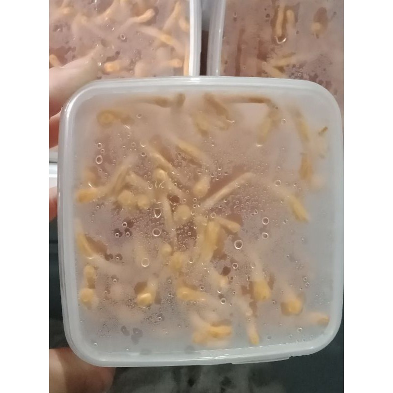 Đông trùng hạ thảo 200gr