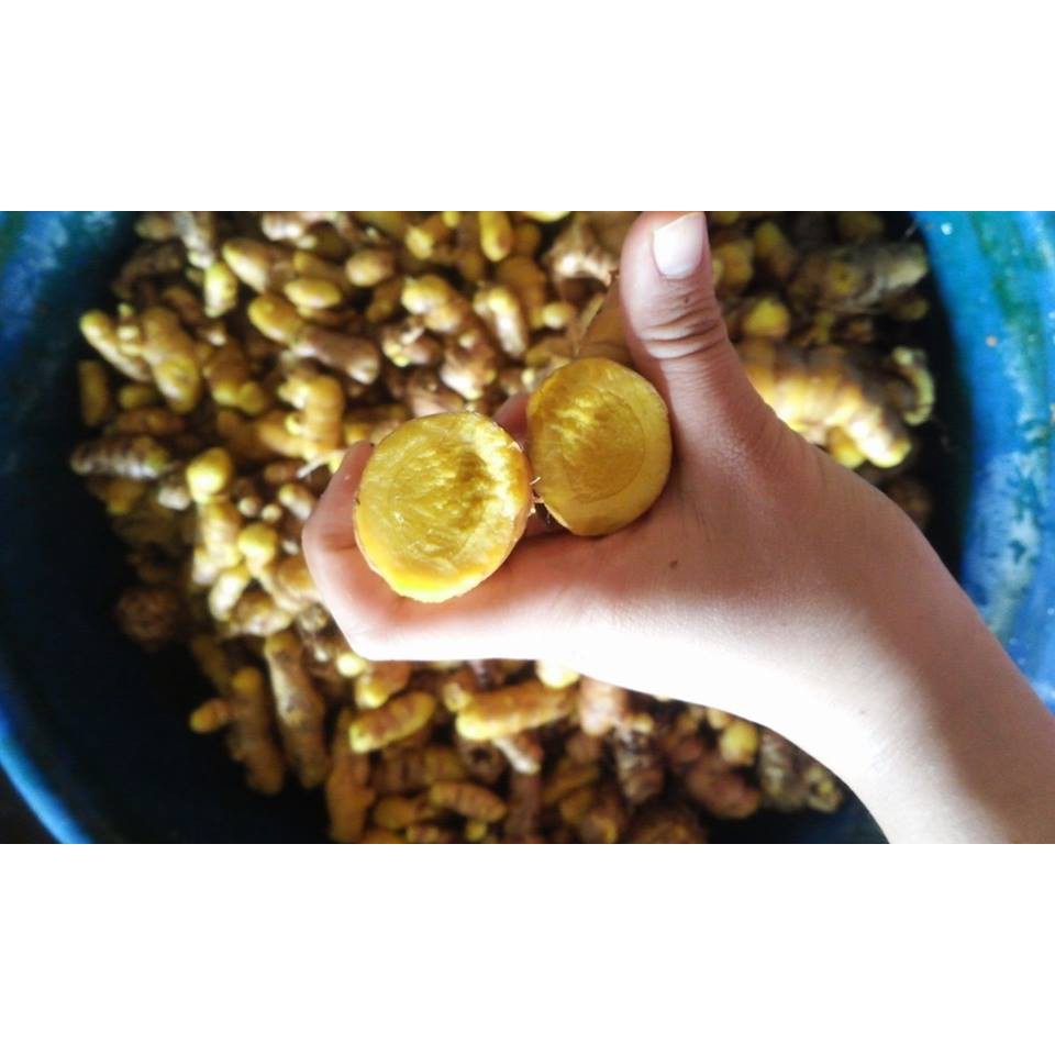 Tinh bột nghệ combo