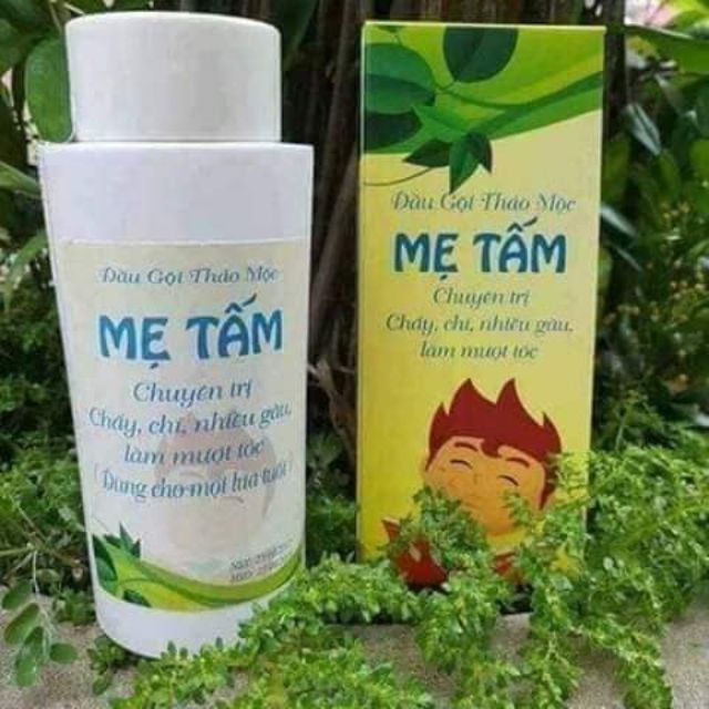 Dầu gội trị chấy mẹ tấm