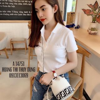 Áo thun cton ,  áo cổ trụ , áo cổ bẻ chất vải thun borip