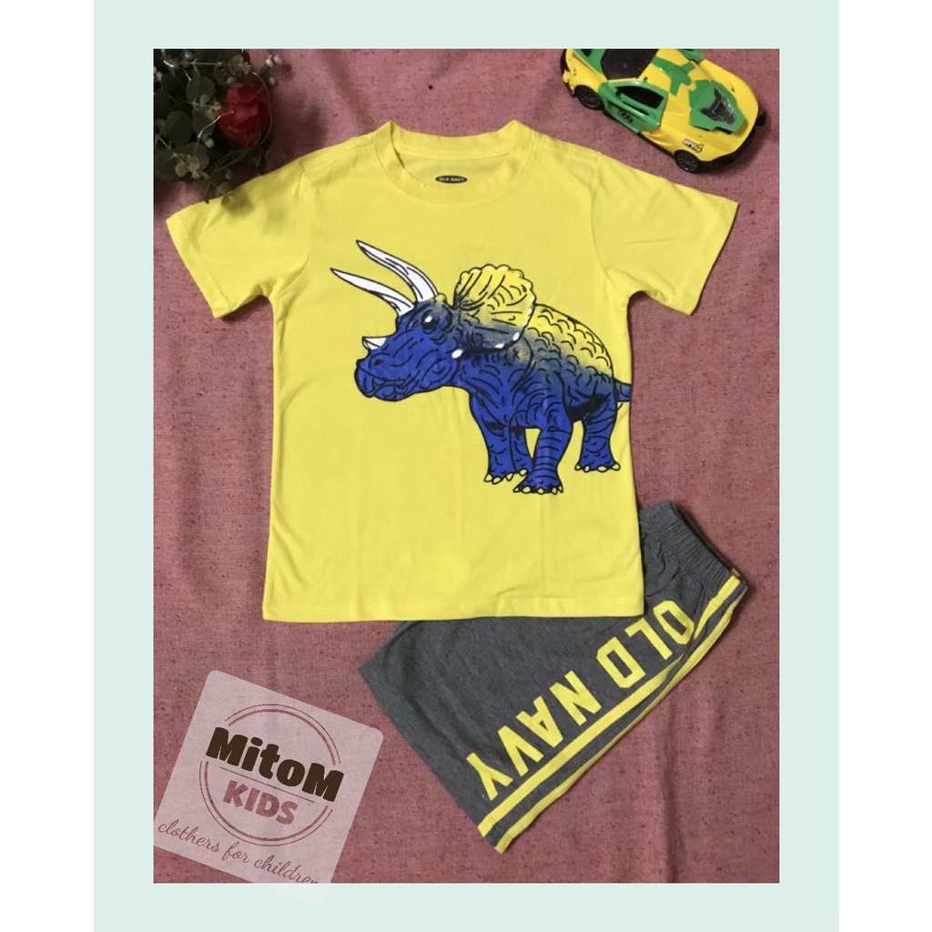 [SALE SỐC] Đồ bộ bé trai GAP ♥️ FREESHIP ♥️ chất cotton xuất khẩu, size đại, hình in không nổ