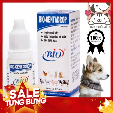 Nhỏ mắt Bio Genta chữa đỏ mắt , ghèn mắt, mắt có ghèn đục giác mạc Bio Gentadrop 10ml - Đảo Chó Mèo