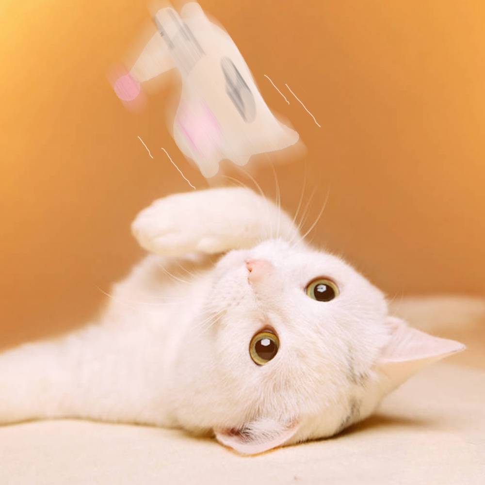 Đồ Chơi Nhồi Bông Cho Mèo