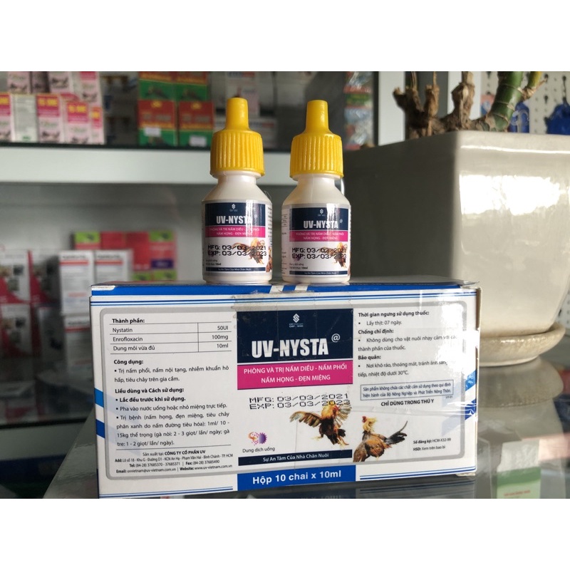 Combo 5 lọ Nytatin nấm họng cho gà.