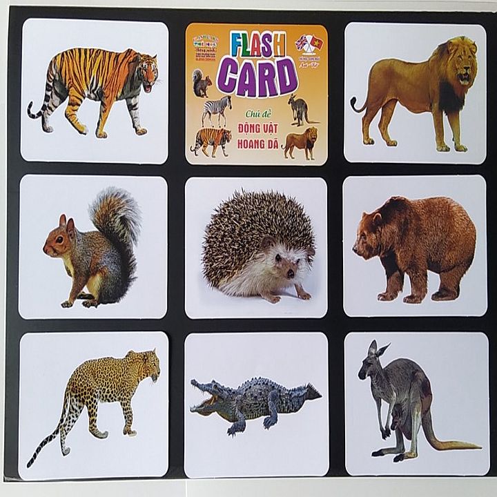 Thẻ con vật thông minh cho bé từ 3 tháng