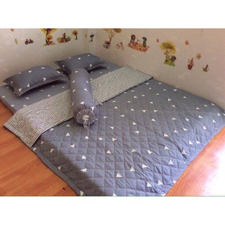 Sét Chăn ga gối hè  cotton poly