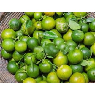 Tắc tươi 1 kg
