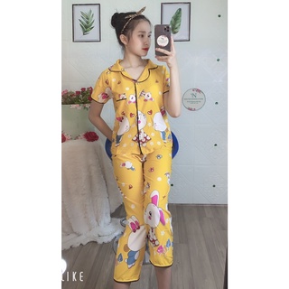Đồ bộ pijama dài mẫu ngẫu nhiên chất vải lụa hàn siêu mát xịn mịn đẹp freesize dưới 60kg
