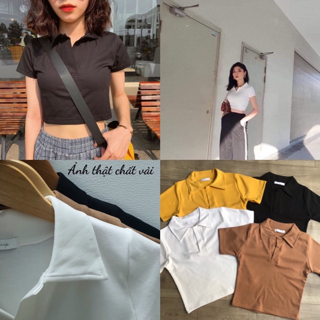 Áo croptop cổ bẻ chất TC chuẩn shop