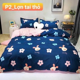 Sét chăn ga gối cotton poly