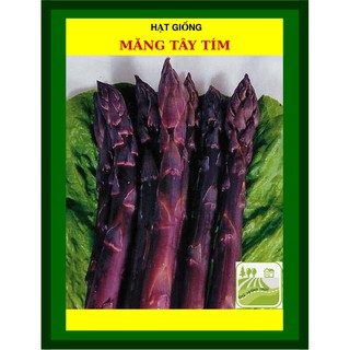 Hạt Giống Măng Tây 0.2 Gram
