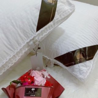 Ruột Gối Lông Vũ
