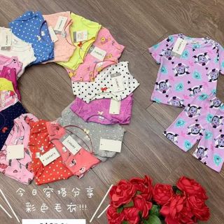 Combo Sỉ bộ Borip