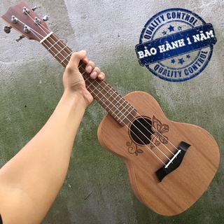 Đàn Ukulele gỗ hình con cánh bướm | Size concert 23'.