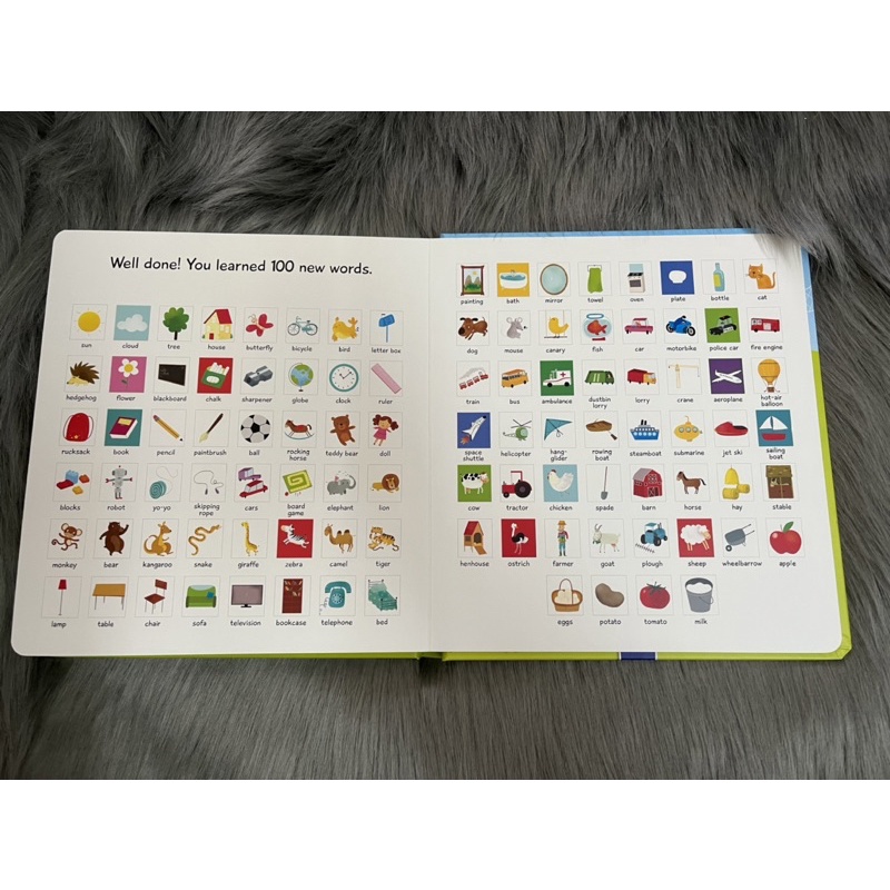100 FLAPS TO LEARN WORDS