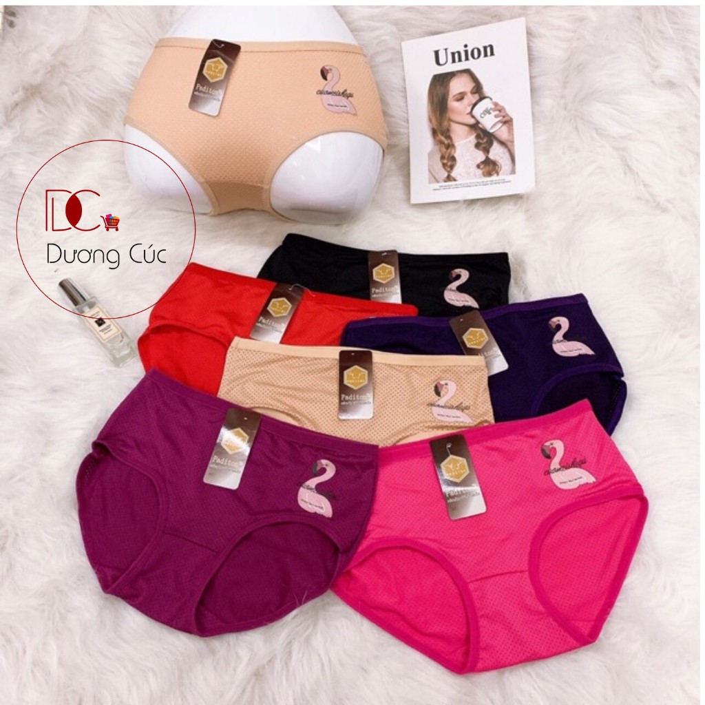 Quần Lót Nữ Thông Hơi Kháng Khuẩn Thái Lan | BigBuy360 - bigbuy360.vn