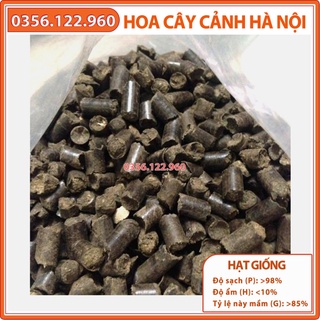 Phân cá nén dạng viên bón cho cây trồng - túi 5kg - tiết kiệm công chăm sóc, hạn chế cỏ dại - Shop hoa cây cảnh Hà Nội