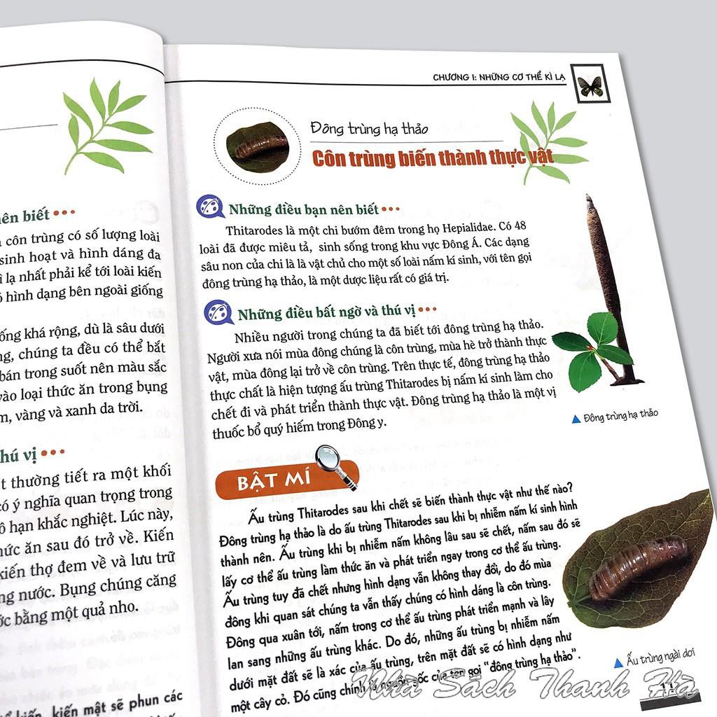 Sách - Khám phá bí ẩn thế giới tự nhiên - Côn trùng (tái bản 2018)
