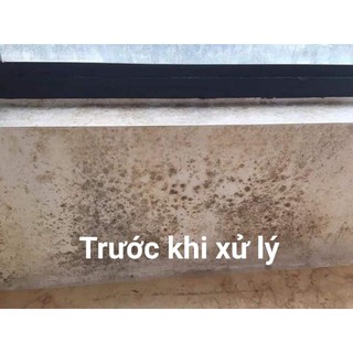 Nước Tẩy Mốc Tường_ dạng xịt
