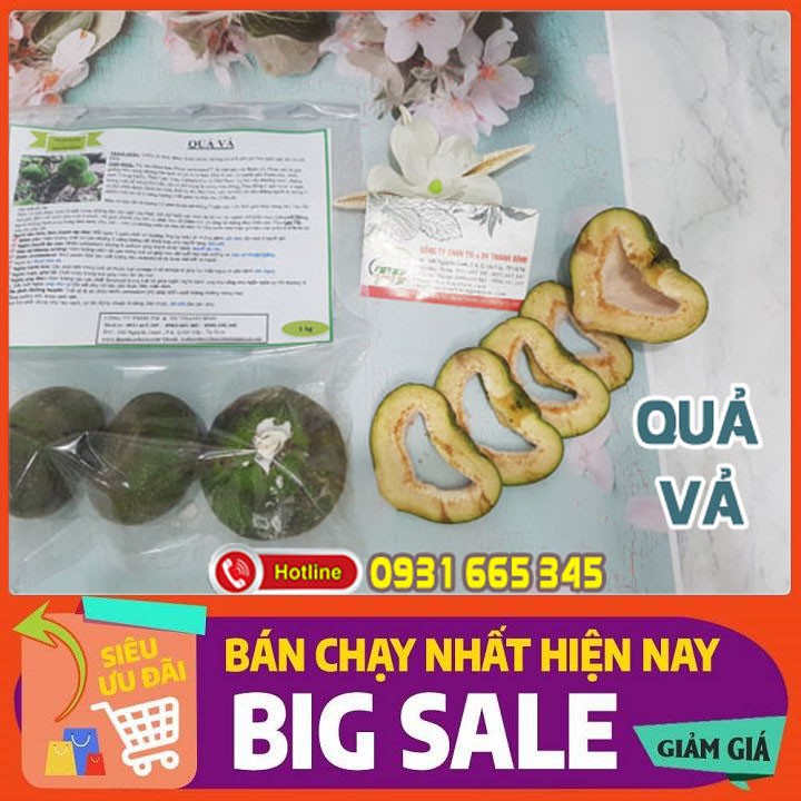 Quả Vả 1Kg - HÀNG CÔNG TY