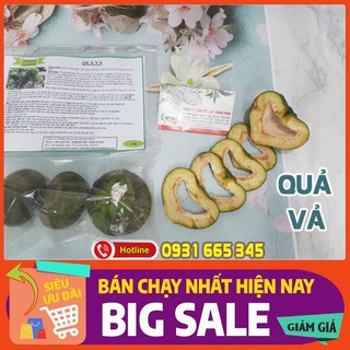 Combo 2kg quả vả tươi - thảo dược thanh bình