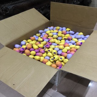 Combo 20 Trứng nở Hatchimals đủ 3 màu