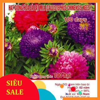 100 Hạt giống Cúc Đà Lạt Mix (Tặng Gói Kích Nẩy Mầm Và Hướng Dẫn) VIETPHAT