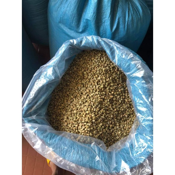 Bội Cà Phê - Robusta Sẻ-Natural ( Giống Cà Lâu Năm) | BigBuy360 - bigbuy360.vn