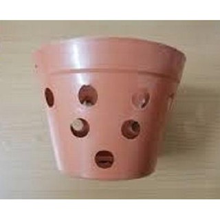 Chậu nhựa giả đất trồng lan