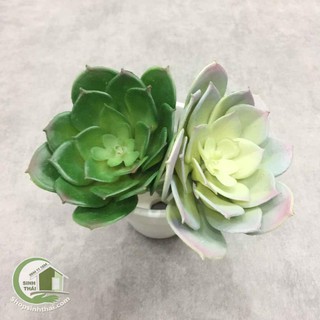 [ Loại lớn ] Hoa sen đá giả - cây sen đá hoa hồng bằng nhựa dẻo