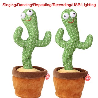 Dancing Cactus Imitating Cactus Can Sing Recording Imitating