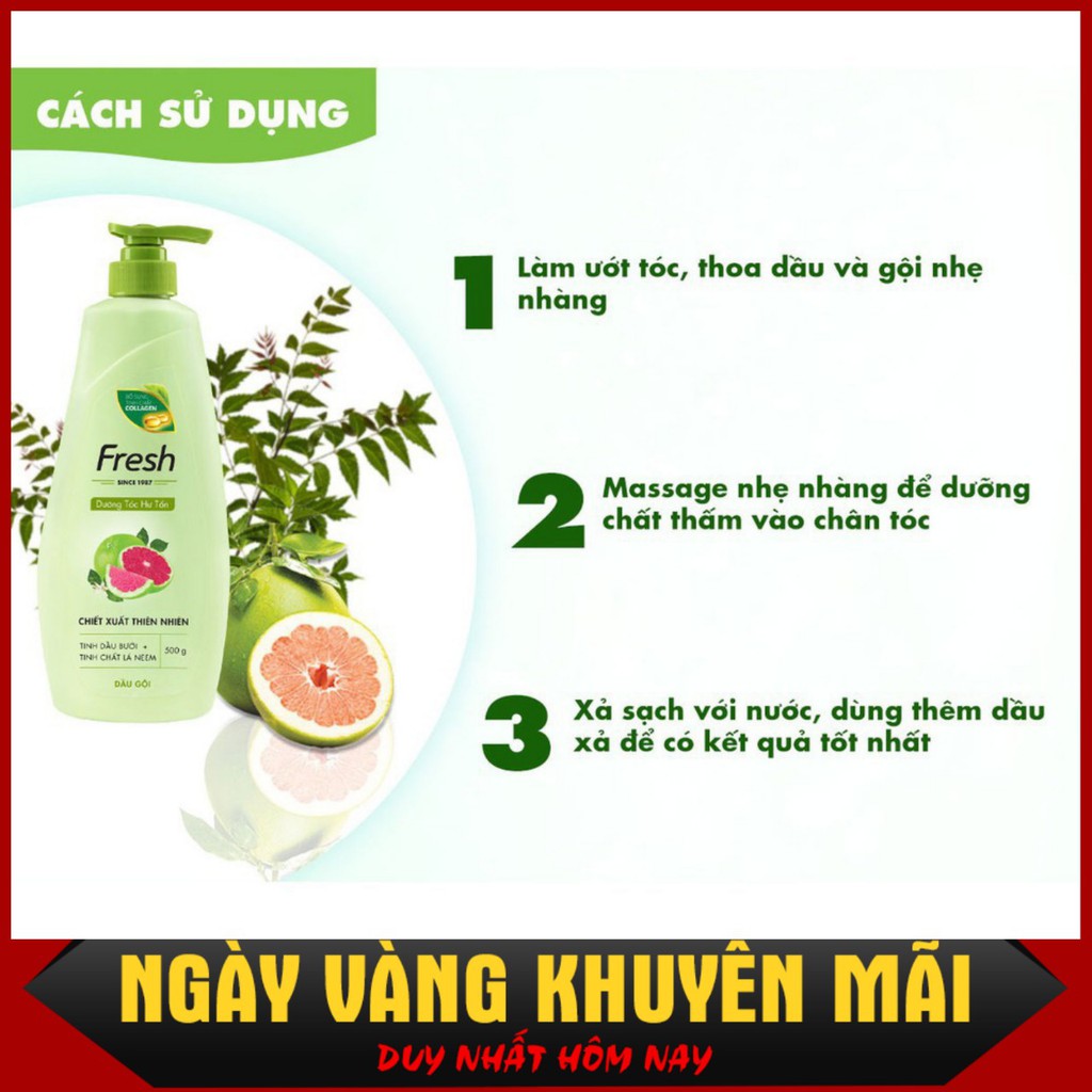 Dầu gội Fresh Tinh dầu Bưởi | BigBuy360 - bigbuy360.vn