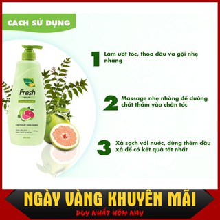 Dầu gội Fresh Tinh dầu Bưởi