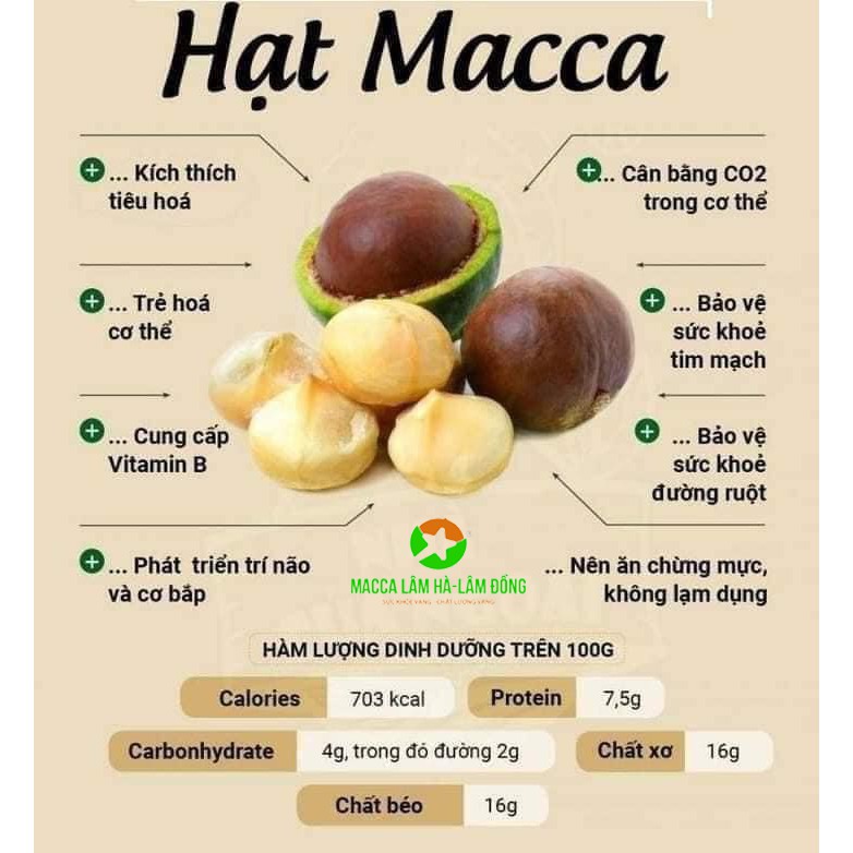 HẠT MACCA  ÚC NỨT VỎ  PT - HŨ PET 500G ( Tặng Kèm Dụng Cụ Tách Vỏ) RẤT TỐT CHO THAI PHỤ VÀ TRÍ NÃO