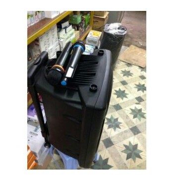 LOA KÉO TEMEISHENG LA–012 tặng 2 mic không dây