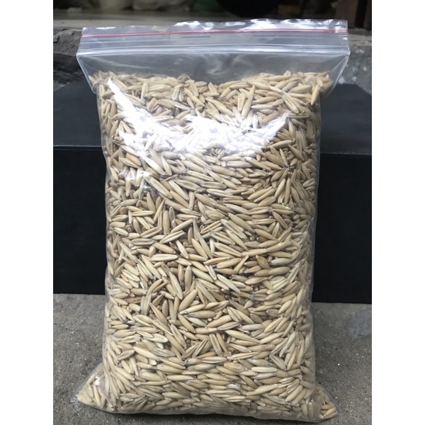 Yến mạch nguyên vỏ cho chim vẹt, cu gáy, gà cảnh, bồ câu... - gói 1kg