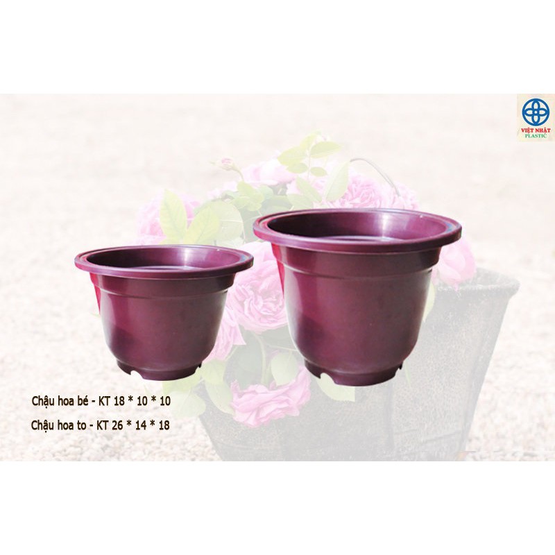 CHẬU HOA BÉ VIỆT NHẬT(combo 2 cai)
