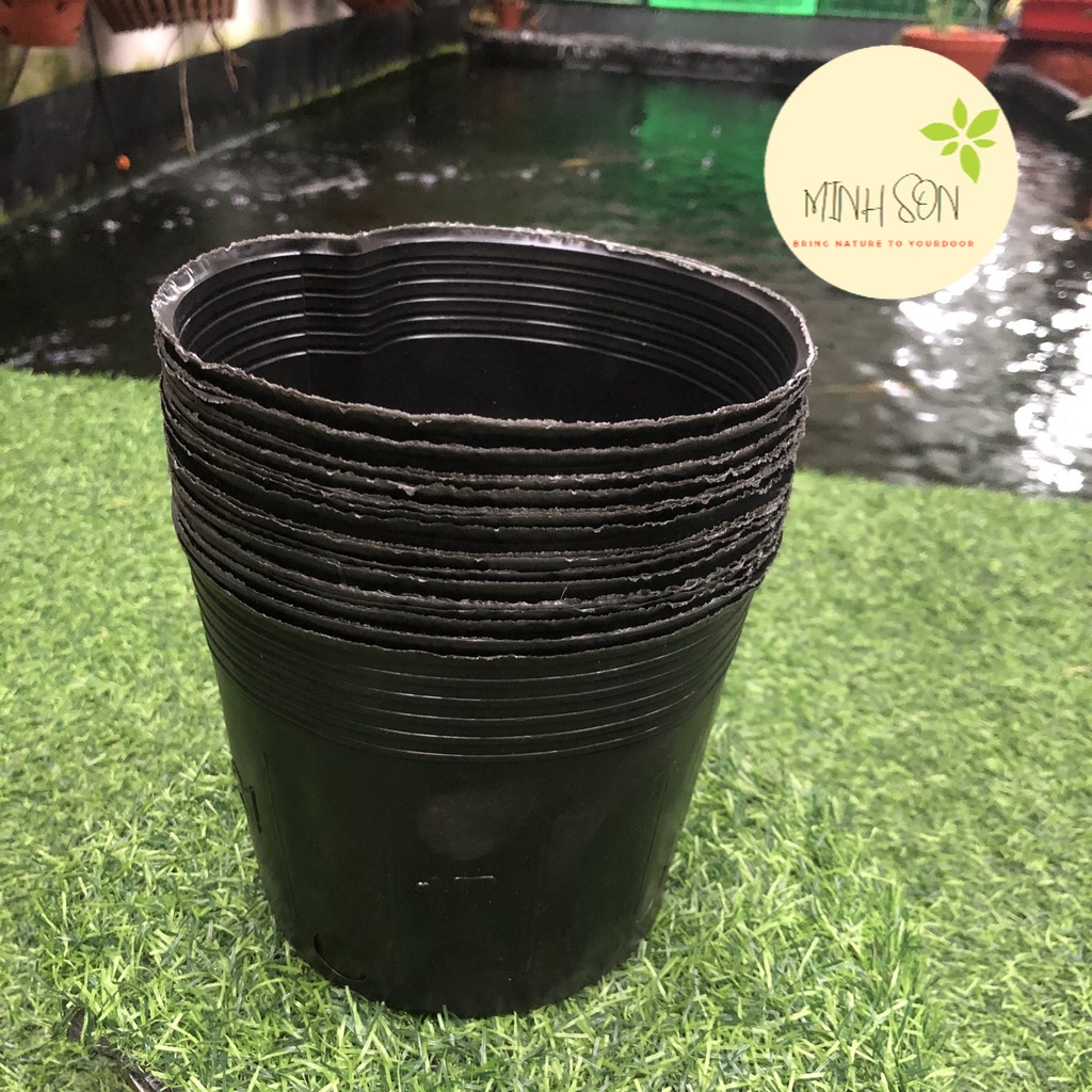Túi bầu trồng cây các size, chậu nhựa đen, túi nhựa đen trồng cây, bầu ươm, túi ươm cây