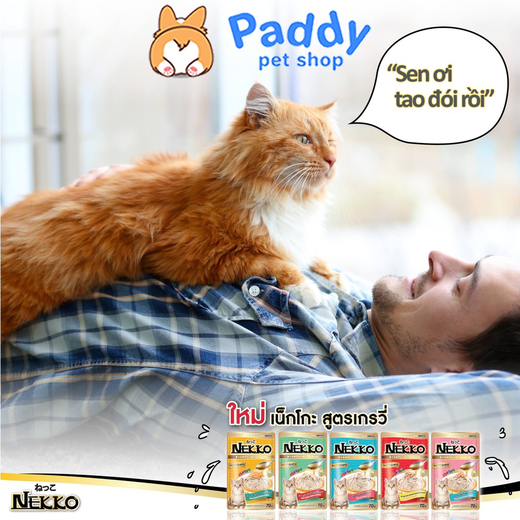 Pate Nekko Sốt Gravy Cho Mèo Mọi Lứa Tuổi