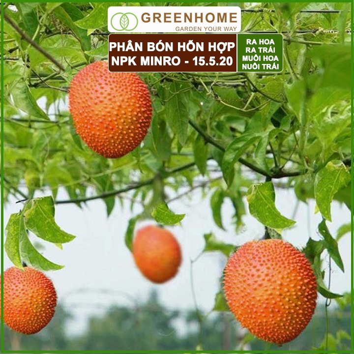 Phân NPK 15-5-20 Minro, bao 200gr, phân bón kích ra hoa, đậu trái, nuôi hoa, nuôi trái |Greenhome