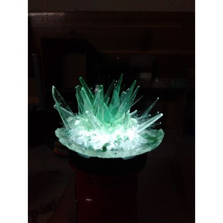 Bộ Nuôi Tinh Thể KDP