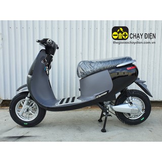 XE MÁY ĐIỆN TH CEO GOGO