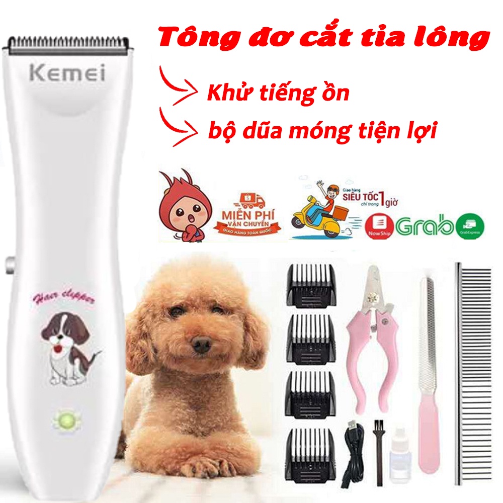 Bộ chăm sóc lông thú cưng - tông đơ, tăng đơ cắt tỉa lông chó mèo - Máy sấy kiêm lược chải lông