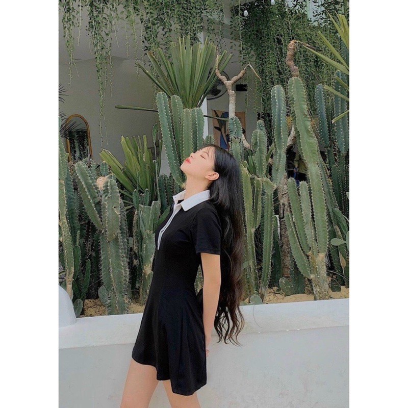 Đầm Polo Đen Viền Cổ Trắng~ Đầm Basic Chất Thun Co Giãn