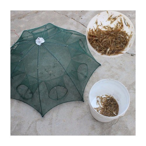 Lưới bát cá bát quái