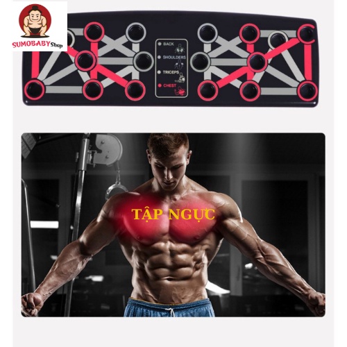 [FREE SHIP] Bộ dụng cụ tập gym, tập cơ bụng, hít đất, chống đẩy tại nhà, có tay cầm