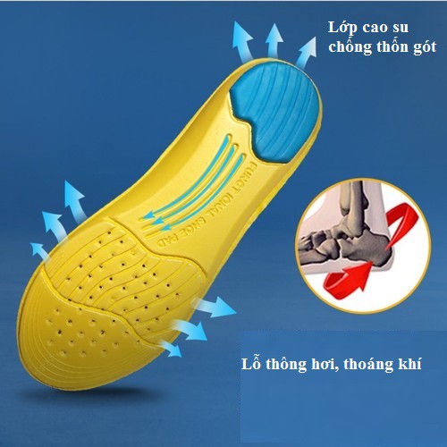 Lót giày thể thao nam nữ EVA 3 lớp cao cấp, êm chân, thấm hút mồ hôi – PK23