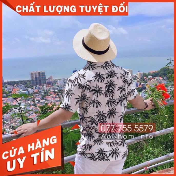 Áo Sơ Mi Đi Biển Nhóm Hoạ Tiết Có Bigsize- Cây dừa trắng